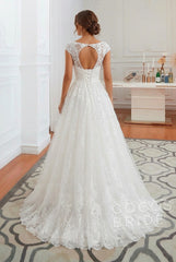 Elegant Long V-neck Lace A-line Wedding Dress