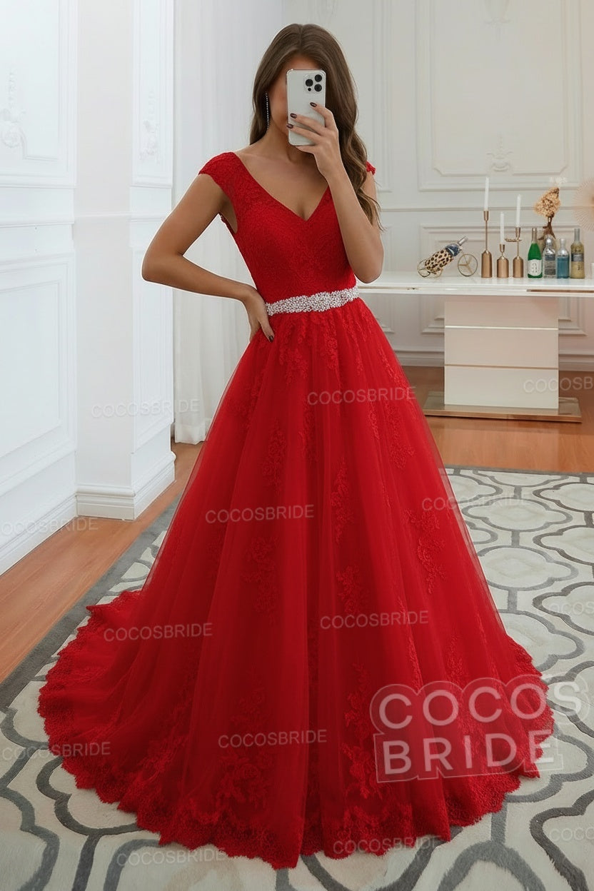 Elegant Long V-neck Lace A-line Wedding Dress